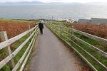 PICTURES/Dingle Peninsula - Fahen Beehive Huts & Dun Beag Fort/t_DSC05334.JPG
